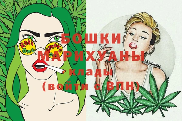 2c-b Новозыбков