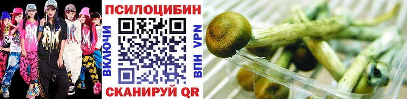 как найти наркотики Чапаевск Галлюциногенные грибы MAGIC MUSHROOMS