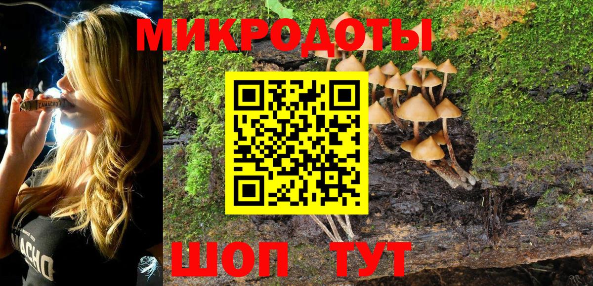 Галлюциногенные грибы Psilocybe Чапаевск